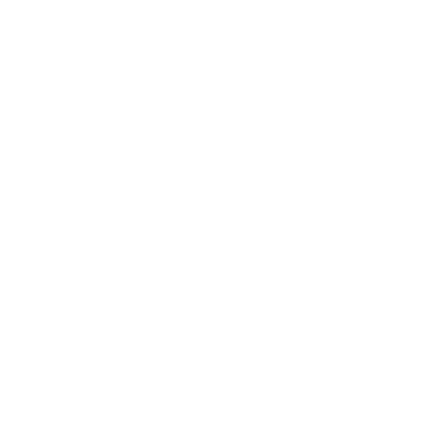 BIZON